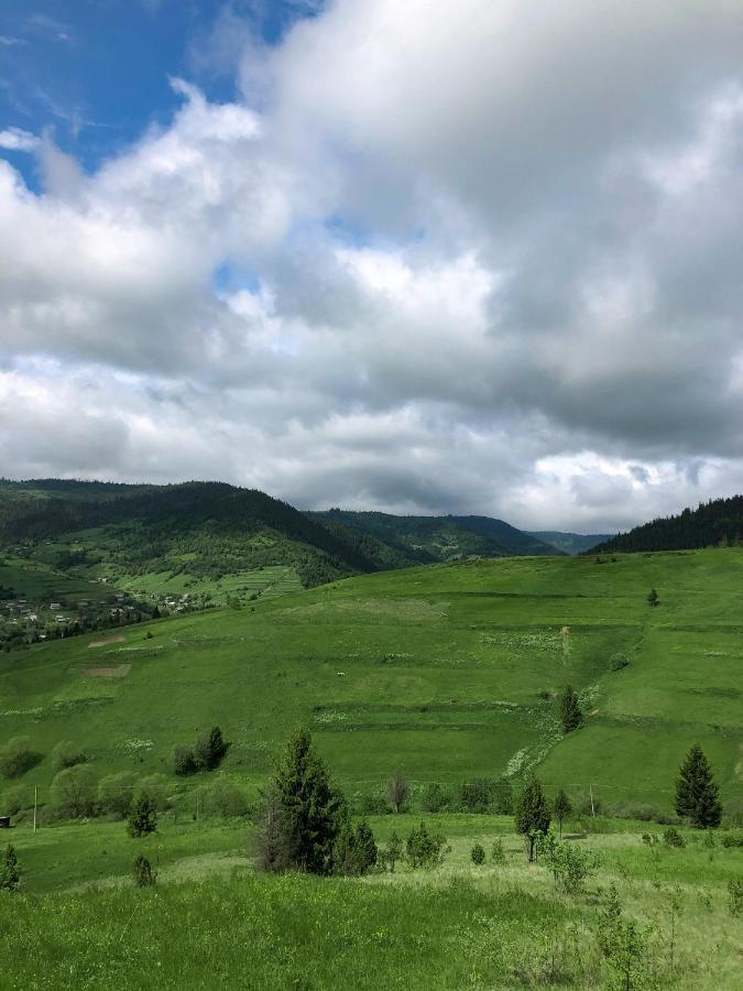 Галерея Карпат Plavja Exteriér fotografie